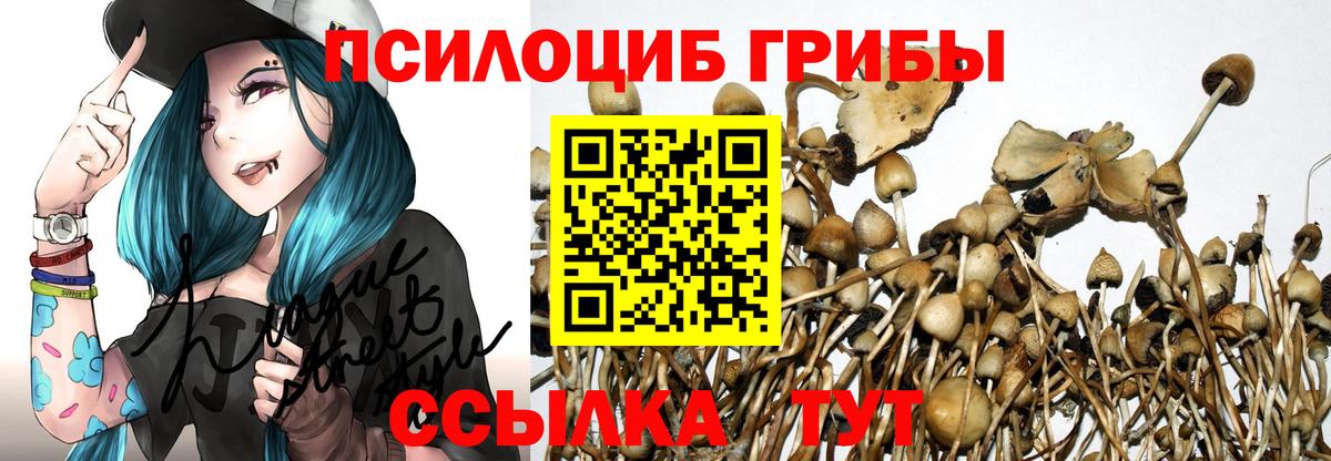 Курск  Псилоцибиновые грибы MAGIC MUSHROOMS  Галлюциногенные грибы мухоморы  Вход с VPN 
